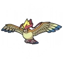 Pidgeot